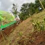 Atasi Lahan Kritis di Jawa Barat, BI Ingin Kembangkan Agroforestri.