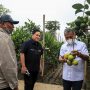 Kunjungi Petani Jeruk, Menteri BUMN Erick Thohir Apresiasi Klaster Pertanian Binaan BRI pertanian bri