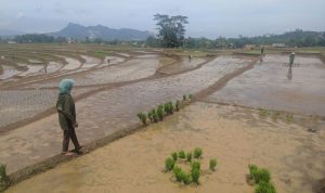Desa Depok, Kecamatan Darangdan, Kabupaten Purwakarta targetkan 300 lahan milik warga tersertifikasi.