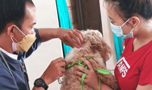 Pelaksanaan vaksinasi rabies dan flu burung di wilayah kelurahan Baros yang disediakan Dispangtan Kota Cimahi, Jumat (17/12).