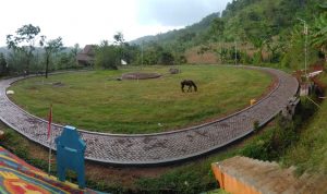 Hutan Wisata Susuh Umbul di Kendal.