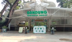 Pengunjung Bandung Zoological Garden Membludak, Saptol PP Terapkan Aturan Ini
