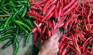 Jelang Tahun Baru 2022, Harga Cabai Rawit di Pasar Baltos Tembus Rp120 Ribu