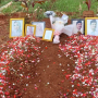 Demi Pindahkan Makam Vanessa Angel, Doddy Sudrajat Siapkan Ini