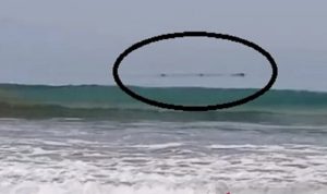 Kemunculan mahluk besar yang diyakini warga sekitar sebagai pertanda akan terjadinya gempa yang berkekuatan 6,6 Magnitudo di banten, kemarin