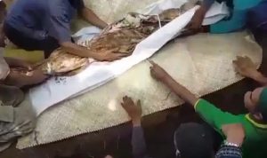 Viral! 17 Tahun Dikubur, Jasad Ulama ini Masih Utuh pemindahan jasad ulama yang sudah 17 tahun dikubur namun masih utuh. foto.ist