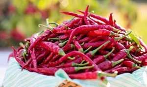 Harga Cabai Makin Pedas, Kementan Didesak Tak Diam Diri