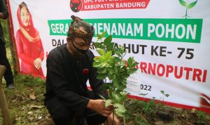 Cegah Longsor dan Banjir, PDI Perjuangan Tanam Pohon di Bantaran Sungai Ketua DPC PDI Perjuangan Kabupaten Bandung, Harjoko Sangganagara saat melakukan penanaman pohon.