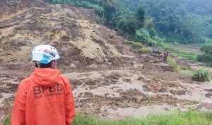 Detik-detik Tanan Longsor di Desa Ciherang Sumedang, Terjang Lahan Sawah mengkibatkan dua hektar sawah tertimbun