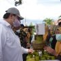 Airlangga Hartarto: Pemerintah Akan Keluarkan Minyak Goreng Kemasan Sederhana dengan Harga Rp 14 Ribu Per Liter
