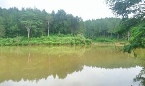 Obyek Wisata Situ Ciengang Kecamatan Kalibunder Kabupaten Sukabumi
