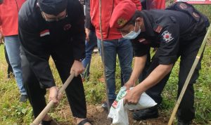 Rayakan HUT ke-49, PDIP Jabar Tanam Ribuan Pohon di DAS Citarum PEDULI LINGKUNGAN: Ketua DPD PDIP Jabar Ono Surono saat melakukan penanaman pohon di Desa Jonggol (Jembatan Cipamingkis) Kecamatan Jonggol, Kabupaten Bogor, Minggu (23/1).