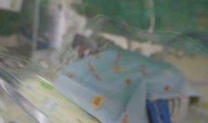 Bayi Kembar Empat Berhasil Lahir Sehat Lewat Kawin Suntik