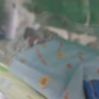 Bayi Kembar Empat Berhasil Lahir Sehat Lewat Kawin Suntik
