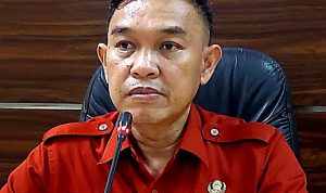 Ateng Kusnandar ketika membicarakan Perpustakaan Digital