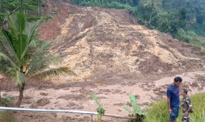 Akibat Longsor di Sumedang, Belasan Hektar Sawah Tertimbun