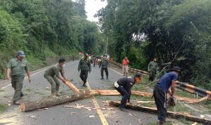 Anggota BPBD Kabupaten Sumedang dibantu aparat serta petugas gabungan saat melakukan penebangan pohon antisipasi puncak musim hujan. (Istimewa)