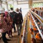 Bupati Bandung Dadang Supriatna saat menghadiri Peresmian Peternakan Terpadu BUMDes Bersama Waluya Balarea, Pacet, Sabtu (22/1) kemarin.