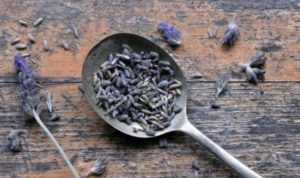 Tanaman lavandin. (Foto: Instagram Lavandin Provenceid/Jawapos)