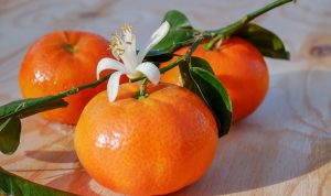 Ilustrasi jeruk mandarin. (Pixabay)