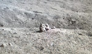 Pesawat Robotik Asal Tiongkok Berhasil Temukan Bukti Keberadaan Air di Bulan Pesawat Robotik Asal Tiongkok Berhasil Temukan Bukti Keberadaan Air di Bulan