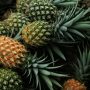 Buah Nanas. (Pixabay)