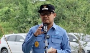 Wakil Wali Kota Depok, Imam Budi Hartono (IBH), ist.