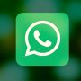 cara membuat link wa