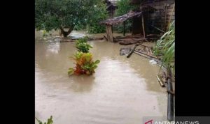 Bajir yang melanda di Maluku menyebabkan ribuan orang terdampak, ratusan lainnya harus mengungsi. (ANTARA/HO-BNPB)