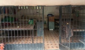 Kabareskrim Beberkan Fakta Korban Kerangkeng Bupati Langkat yang Tewas Kondisi kerangkeng manusia di rumah Terbit Rencana Perangin Angin. Foto: Finta Rahyuni/JPNN.com