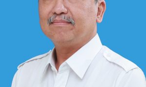 Sekretaris Kementerian PPPA Pribudiarta Nur Sitepu
