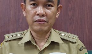 Ateng Kusnandar Adisaputra. Masa Kerja Organisasi. Manajemen Pegawai Negeri Sipil (PNS) adalah pengelolaan PNS untuk menghasilkan PNS yang profesional,