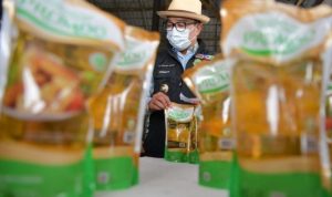 Harga Bahan Pokok Pangan, Harga Bahan Pokok, Sembako, Harga Sembako, bahan pangan, distribusi pangan, minyak goreng, kenaikan harga, harga minyak goreng, 