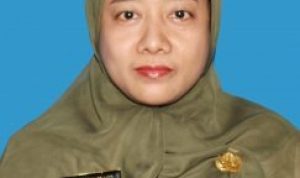 Perkuat Kualitas Data, DP3AP2KB Kota Depok Gelar Pelatihan New SIGA Kepala Bidang Pengendalian Penduduk dan Keluarga Berencana, DP3AP2KB Kota Depok, May Haryanti. (Istimewa)
