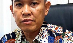 Bahasa Ibu Penulis adalah Kepala Bidang Bina Perpustakaan dan Budaya Gemar Membaca, Dinas Perpustakaan dan Kearsipan Daerah Provinsi Jawa Barat, serta Dosen Luar Biasa Universitas Al-Ghifari Bandung.