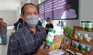 Banyak Rintangan, Pelaku IKM Teh Asal Kabupaten Bandung Tetap Bertahan Pelaku Industri Kecil Menengah (IKM) teh asal Ciwidey, Kabupaten Bandung, Yana Fauzi.