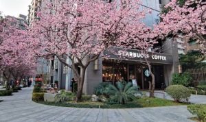Ilustrasi: Salah satu gerai starbuck yang berada di China. (pixabay)