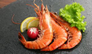 Inilah 6 Keistimewaan Udang untuk Kesehatan 6 Keistimewaan Udang untuk Kesehatan