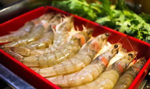 ilustrasi seafood (sumber: pixabay)