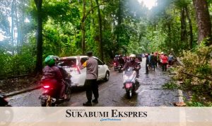 Petugas mengamankan dan mengatur lalu lintas di lokasi kejadian pohon tumbang yang menewaskan dua orang pemotor di Sukabumi. (foto Istimewa)