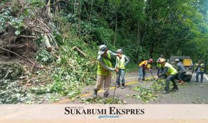 EVAKUASI : Sejumlah petugas melakukan evakuasi secara manual untuk membersihkan material longsoran dan pohon Tumbang. ( ISTIMEWA )
