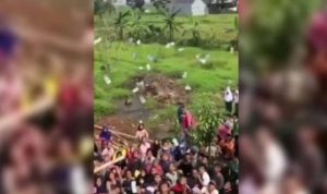 Video Viral Hujan Uang di Pekalongan Bukan Hoax Ternyata Tradisi, Begini Ritualnya Warga Desa Pakumbulan Kecamatan Buaran Kabupaten Pekalongan berebut uang dalam tradisi udik-udikan. foto: rpco
