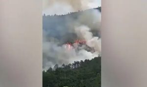 Tampak kepulan asap dan kobaran api dari lokasi jatuhnya pesawat di dekat Kota Wuzhou, Guangxi, Senin (21/3). Foto: Shanghai Eye