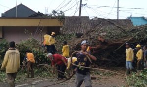 Proses evakuasi pohon tumbang di Jalan Raya Rancakalong-Lebakjati, tepatnya di area Terminal 08 Rancakalong, Desa Rancakalong, Kecamatan Rancakalong, Kabupaten Sumedang. (Jabar Ekspres)