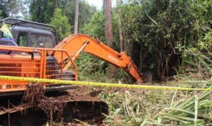 Lokasi kejadian pekerja diterkam harimau di Jambi. (Foto: jambi.tribunnews.com)