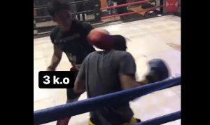 Video Jefri Nichol Hajar Keanu Pahlevi di Atas Ring Viral, Menang Telak 3 Kali KO Video Adu kekuatan antara Jefri Nichol dan Keanu Pahlevi yang menjadi viral. (tangkapan layar)