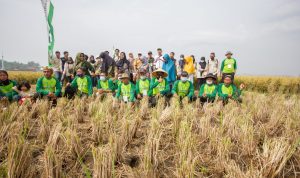 Penggunaan Pupuk Hayati Cair Dongkrak Hasil Panen Padi Petani Ciparay Bandung Penggunaan Pupuk Hayati Cair Dongkrak Hasil Panen Padi Petani Ciparay Bandung
