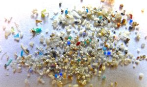 Mikroplastik Ditemukan Sudah Berada dalam Tubuh Manusia, Berbahaya!