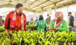 Airlangga Hartarto, green economy merupakan konsep pembangunan yang mengintegrasikan pembangunan ekonomi dan lingkungan.