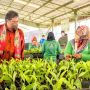 Airlangga Hartarto, green economy merupakan konsep pembangunan yang mengintegrasikan pembangunan ekonomi dan lingkungan.